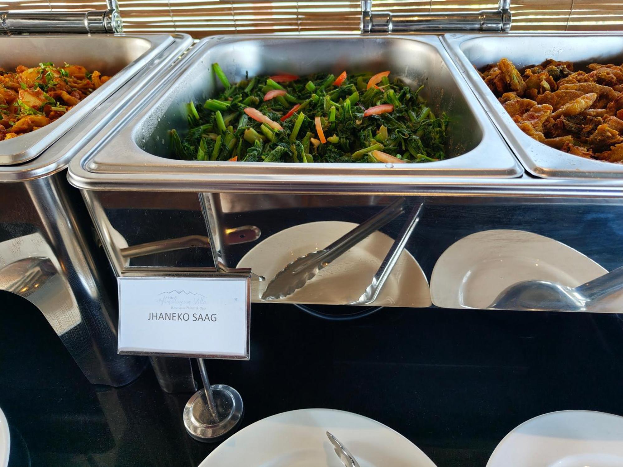 喜马拉雅别墅酒店 纳加阔特 外观 照片